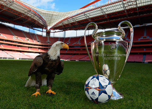 前挪威、丹麦、冰岛队主帅哈雷德因脑癌去世，享年72岁（曾执教挪威、丹麦与冰岛队的哈雷德因脑癌逝世，终年72岁）